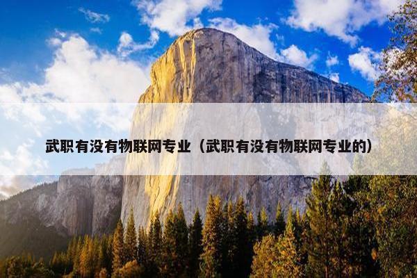 武职有没有物联网专业（武职有没有物联网专业的）