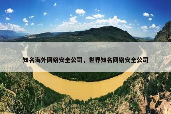 知名海外网络安全公司，世界知名网络安全公司