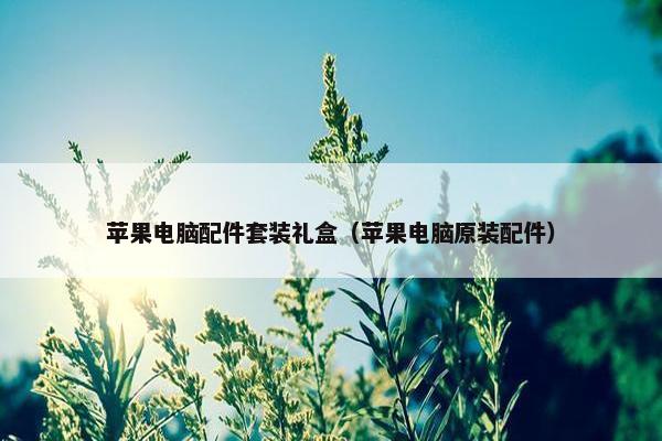 苹果电脑配件套装礼盒（苹果电脑原装配件）