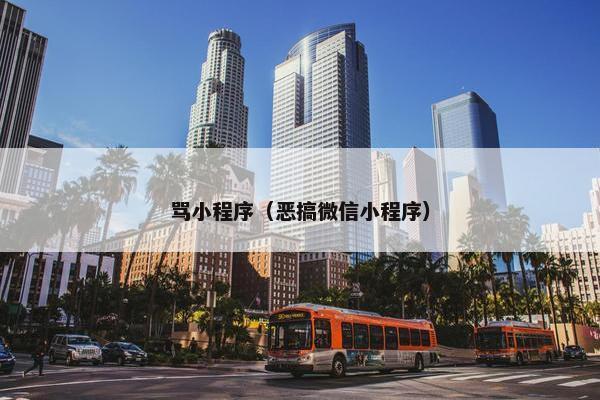 骂小程序（恶搞微信小程序）