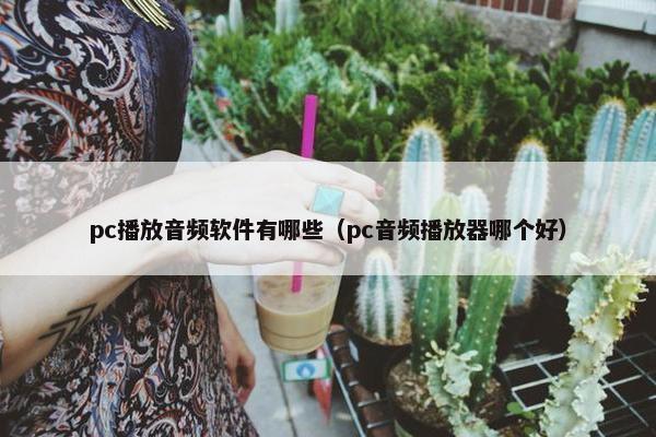 pc播放音频软件有哪些（pc音频播放器哪个好）