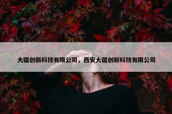 大疆创新科技有限公司，西安大疆创新科技有限公司
