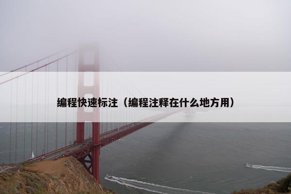 编程快速标注（编程注释在什么地方用）