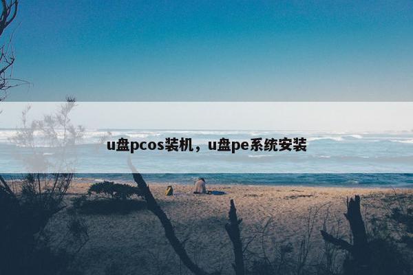 u盘pcos装机，u盘pe系统安装