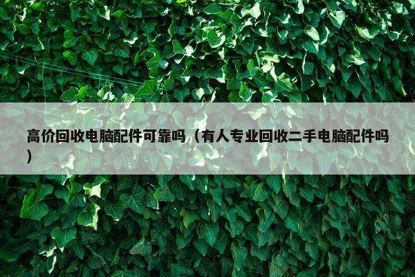 高价回收电脑配件可靠吗（有人专业回收二手电脑配件吗）