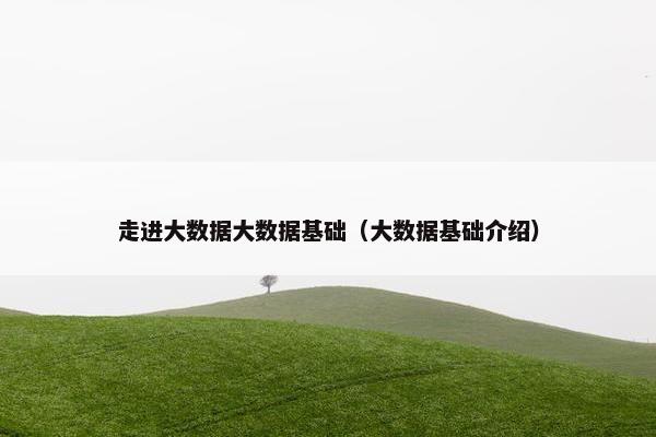 走进大数据大数据基础（大数据基础介绍）