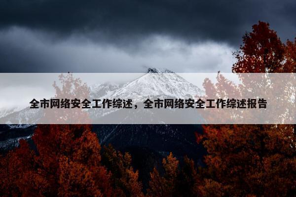 全市网络安全工作综述，全市网络安全工作综述报告