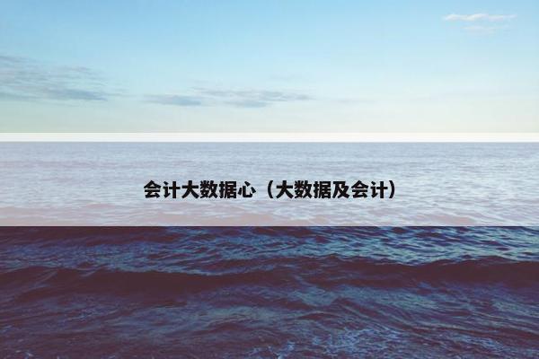 会计大数据心（大数据及会计）