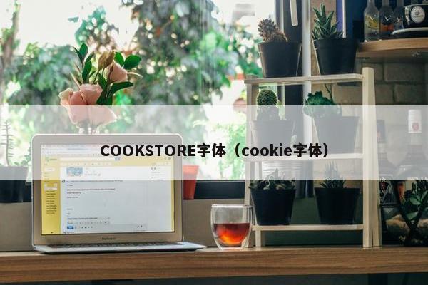 COOKSTORE字体（cookie字体）
