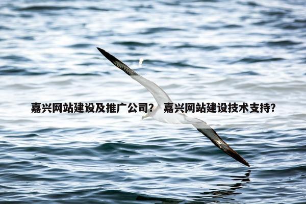 嘉兴网站建设及推广公司？ 嘉兴网站建设技术支持？