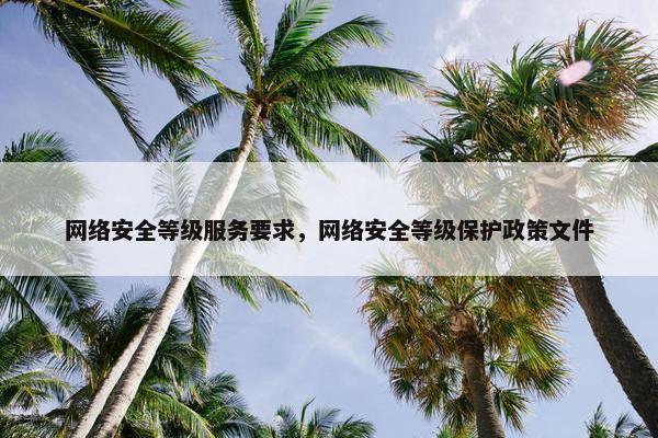 网络安全等级服务要求，网络安全等级保护政策文件