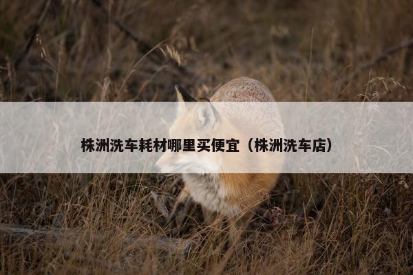 株洲洗车耗材哪里买便宜（株洲洗车店）