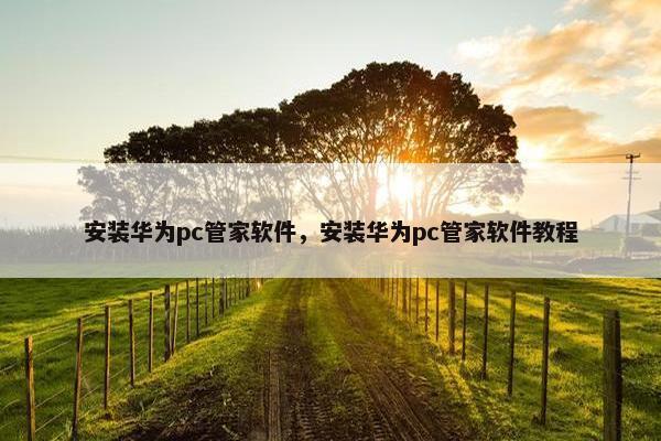 安装华为pc管家软件，安装华为pc管家软件教程