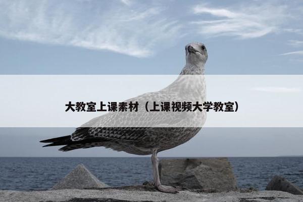 大教室上课素材（上课视频大学教室）