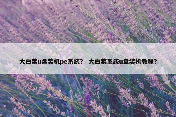 大白菜u盘装机pe系统？ 大白菜系统u盘装机教程？