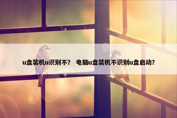 u盘装机u识别不？ 电脑u盘装机不识别u盘启动？
