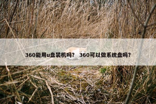 360能用u盘装机吗？ 360可以做系统盘吗？