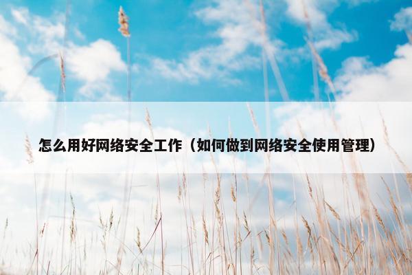 怎么用好网络安全工作（如何做到网络安全使用管理）