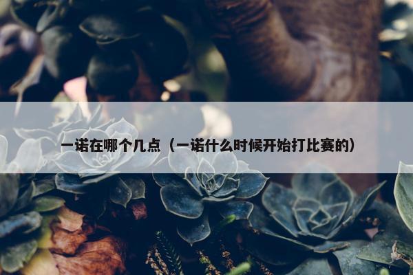 一诺在哪个几点（一诺什么时候开始打比赛的）