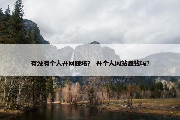 有没有个人开网赚培？ 开个人网站赚钱吗？