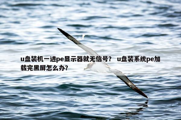 u盘装机一进pe显示器就无信号？ u盘装系统pe加载完黑屏怎么办？