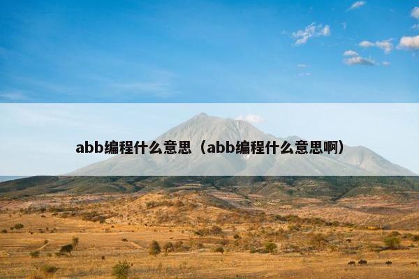 abb编程什么意思（abb编程什么意思啊）