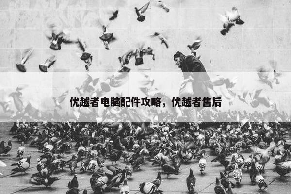 优越者电脑配件攻略，优越者售后
