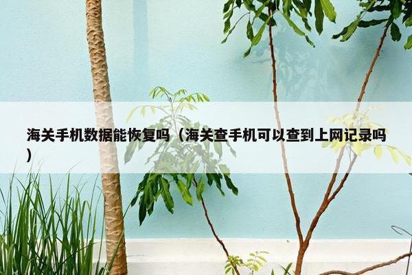 海关手机数据能恢复吗（海关查手机可以查到上网记录吗）