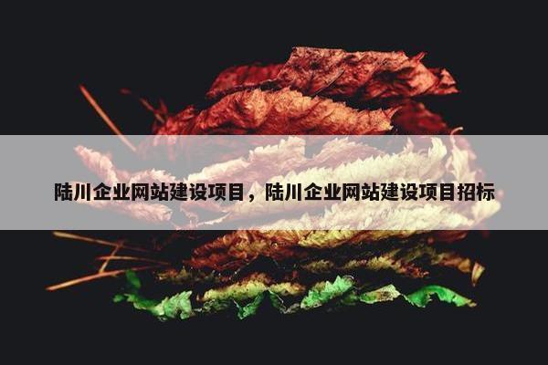 陆川企业网站建设项目，陆川企业网站建设项目招标