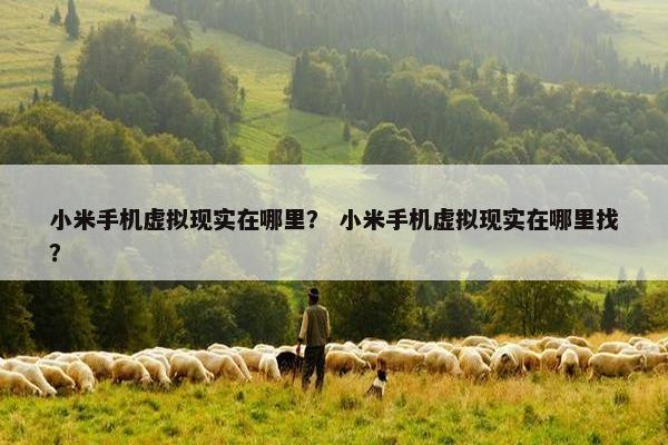 小米手机虚拟现实在哪里？ 小米手机虚拟现实在哪里找？