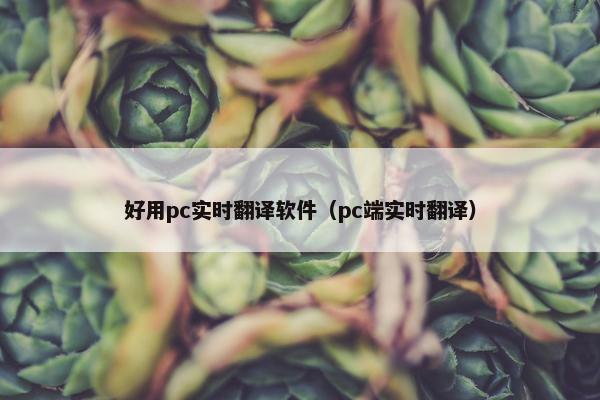 好用pc实时翻译软件（pc端实时翻译）