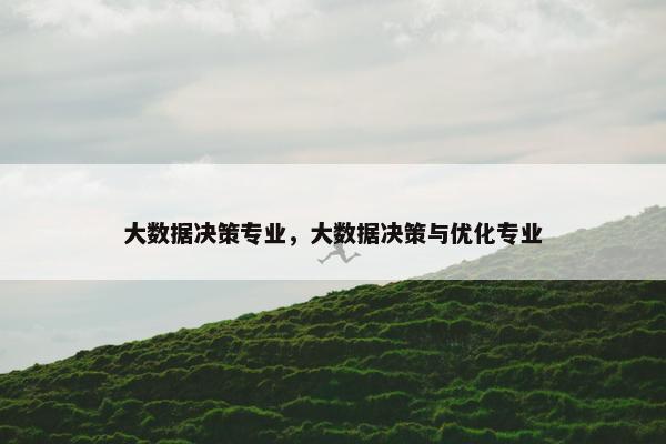 大数据决策专业，大数据决策与优化专业