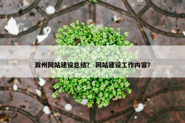 滁州网站建设总结？ 网站建设工作内容？