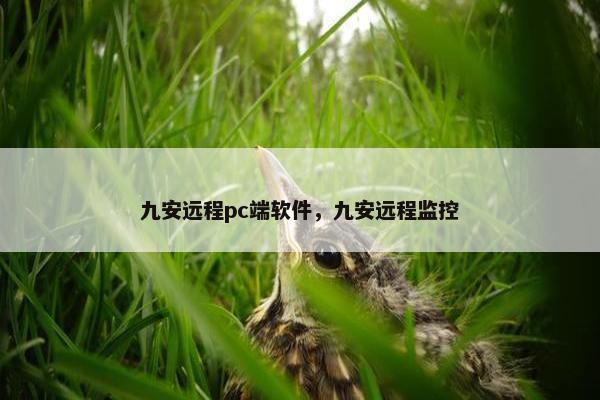 九安远程pc端软件，九安远程监控