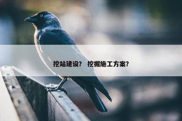 挖站建设？ 挖掘施工方案？