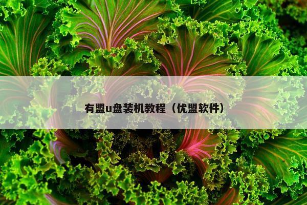 有盟u盘装机教程（优盟软件）