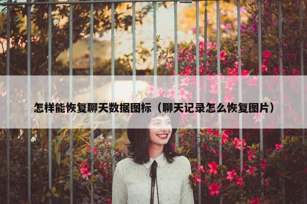 怎样能恢复聊天数据图标（聊天记录怎么恢复图片）