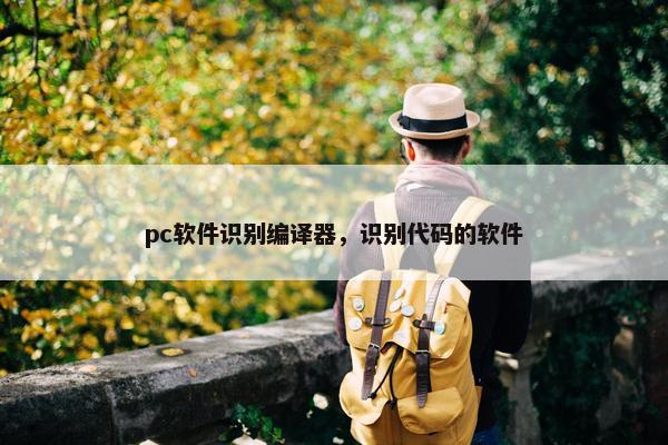 pc软件识别编译器，识别代码的软件