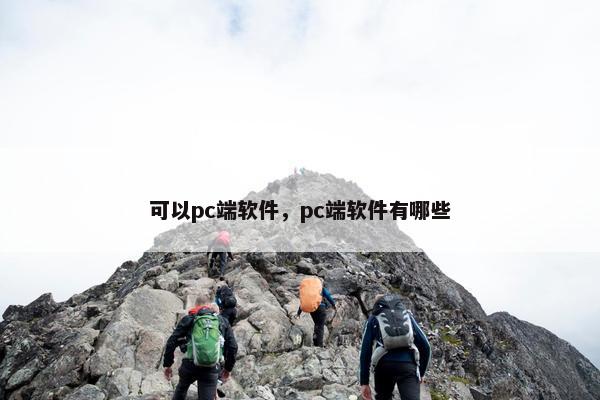 可以pc端软件，pc端软件有哪些