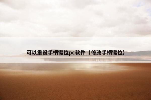 可以重设手柄键位pc软件（修改手柄键位）