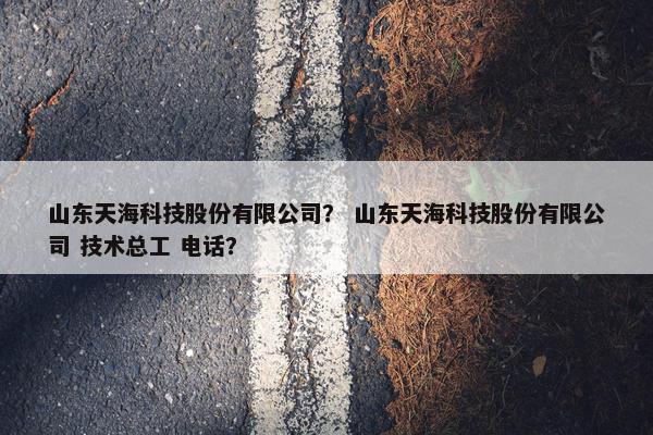 山东天海科技股份有限公司？ 山东天海科技股份有限公司 技术总工 电话？