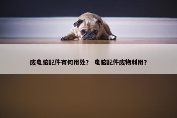 废电脑配件有何用处？ 电脑配件废物利用？