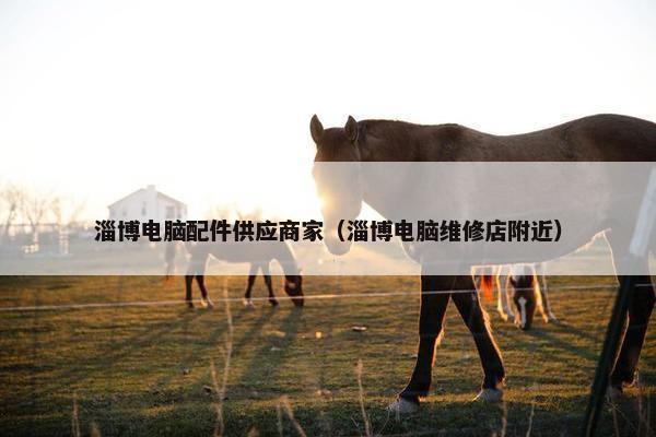 淄博电脑配件供应商家（淄博电脑维修店附近）