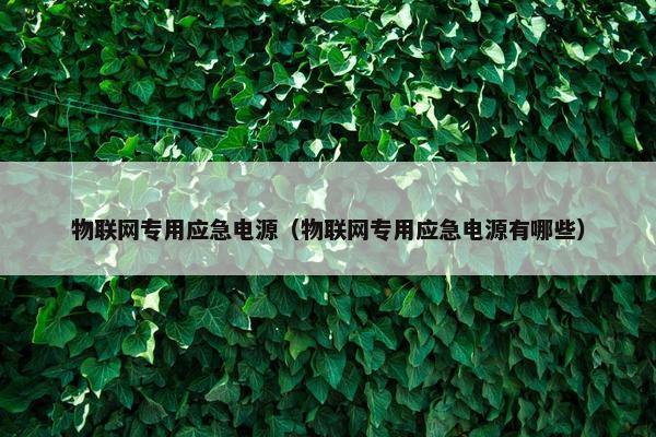 物联网专用应急电源（物联网专用应急电源有哪些）