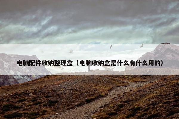 电脑配件收纳整理盒（电脑收纳盒是什么有什么用的）