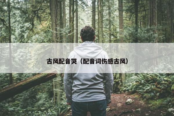古风配音哭（配音词伤感古风）