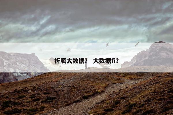折腾大数据？ 大数据fi？