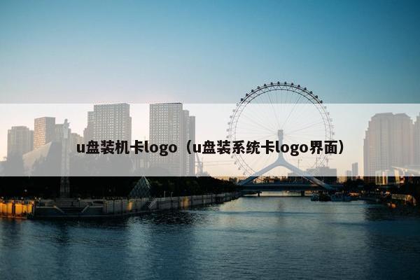 u盘装机卡logo（u盘装系统卡logo界面）