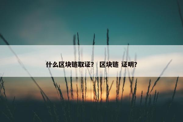 什么区块链取证？ 区块链 证明？