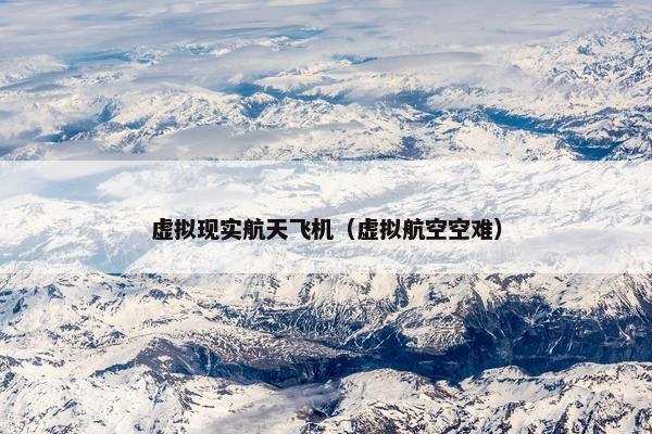 虚拟现实航天飞机（虚拟航空空难）
